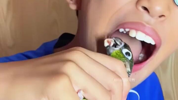 ลูกสัตว์ดึงฟันแบบจัดเต็ม โหดสุดๆ แต่ละตัวยิ่งกว่ากัน! “ดึงฟัน” พฤติกรรมชวนงงของเด็กมนุษย์ – ฮากระจาย