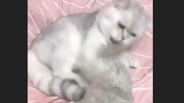 Em à, đừng hiểu lầm, anh không đánh con trai mình đâu, chỉ là âu yếm nó thôi.