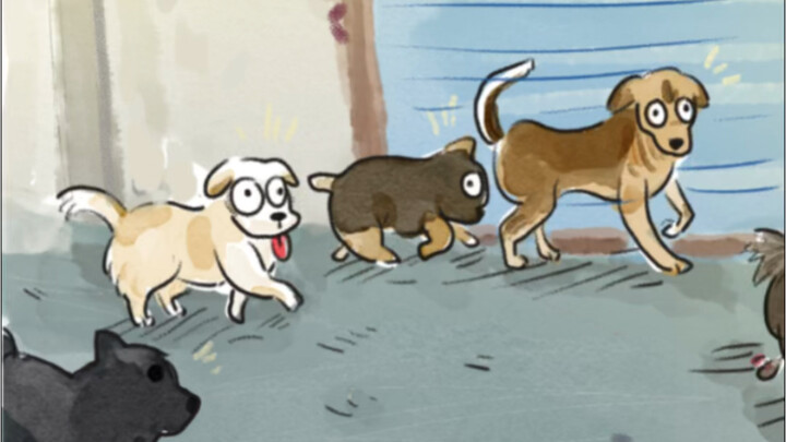 Nếu cún cưng của bạn đi chơi với lũ bạn “hư hỏng” rồi gặp bạn mà giả vờ không biết thì bạn sẽ phản ứ