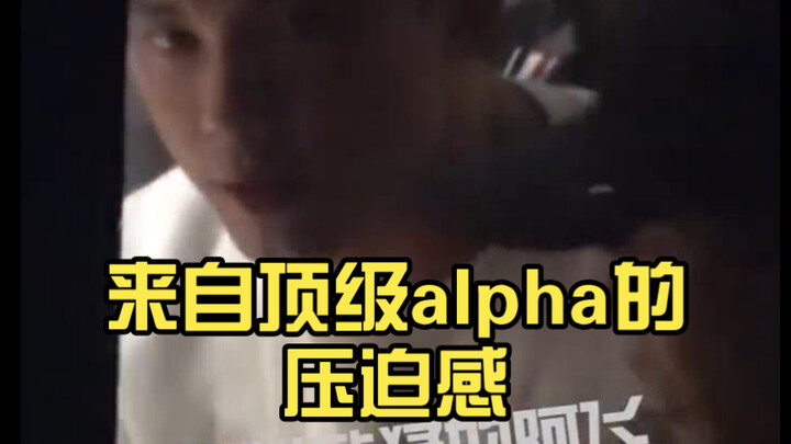 狗仔偷拍镜头下 来自顶级alpha的压迫感