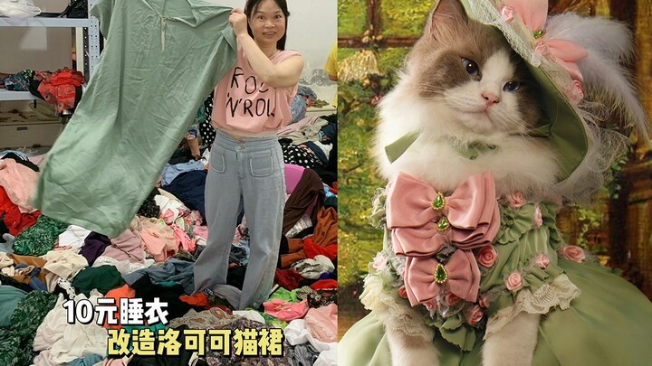 คุณย่าใช้ชุดนอนราคา 10 หยวน แปลงโฉมเจ้าเหมียวตัวน้อยให้กลายเป็นแมวนางสาวสุดหรูสไตล์ฝรั่งเศส!