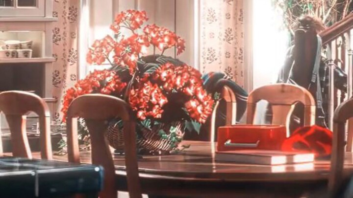 Home Alone