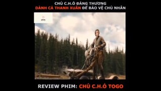 Tóm tắt phim: Chú chó Togo