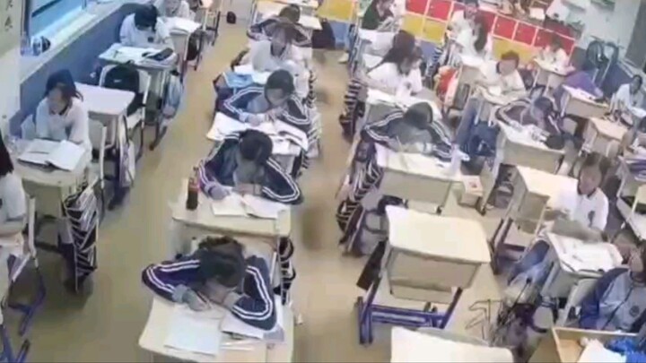 老鼠进去教室后，老鼠都快被吓死了！！