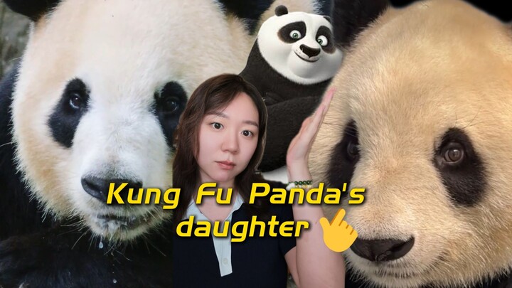 That new panda in the US? Literally Kung Fu Panda's daughter!