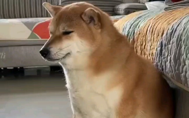 Classic Sitting Pose