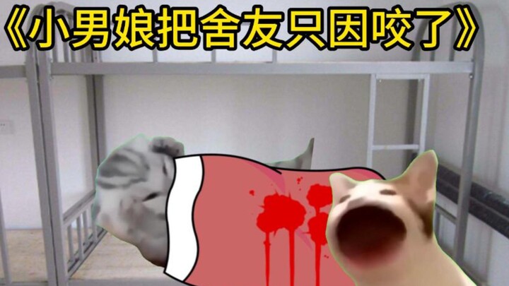 小男娘把舍友只因咬了 ▏猫meme