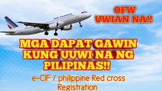 Mga dapat gawin kung uuwi na ng pilipinas bago mag register sa e-CIF ng red cross.