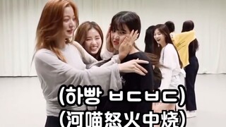 [fromis_9] 互相不搞对方就不舒服的米斯2 [韩语中字]