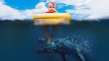 Hội Chứng Sợ Biển Thalassophobia: Khi Bạn Là Cá Con Bơi Giữa Rừng Cá Mập