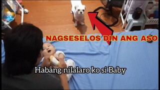 NAGSESELOS DIN ANG ASO 🤣🥰 | LANIEVIN AP