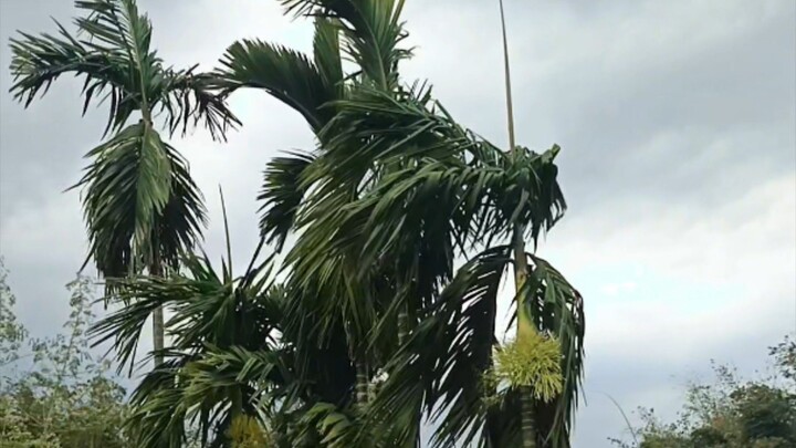 #Bangladesh বাংলা দেশে