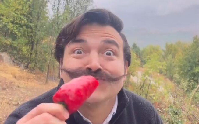 A really terrible plan: the Dutch, a camera, and ham sausages