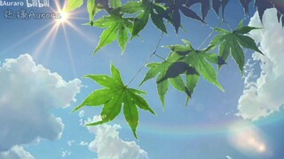 【菊次郎的夏天】你看，一晃两三年，匆匆又夏天