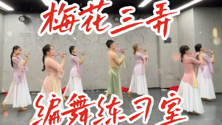 【白小白】经典返场系列《梅花三弄》编舞练习室