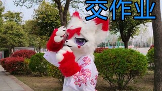 حول تقديم واجبي فيديو ارتداء زي الحيوانات