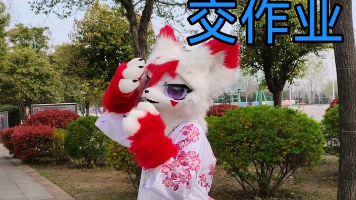 حول تقديم واجبي فيديو ارتداء زي الحيوانات