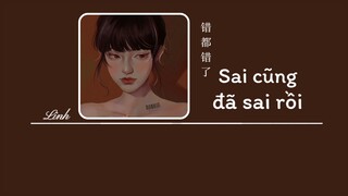 [Vietsub] Sai cũng đã sai rồi • Triệu Nãi Cát ♪ 错都错了 • 赵乃吉