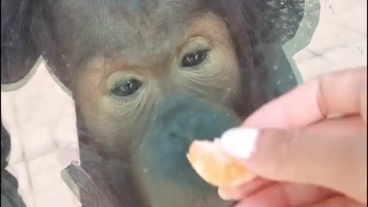 The enemy is on the other side of the door.