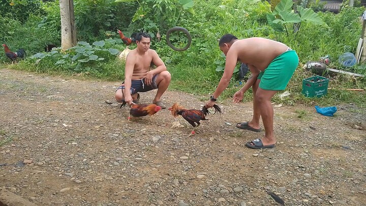 Father and son Gilmore