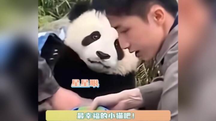 Happy Panda Xianxian Baby