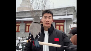 Is this a noble bird? The master will always be my master🤙