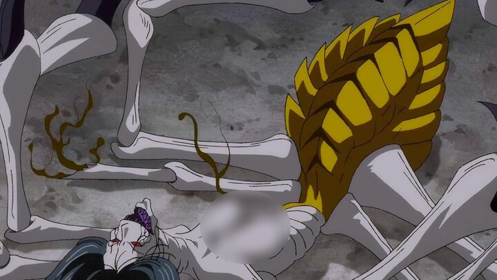 Can you believe it! The spider spirit actually grew up eating white rice!
