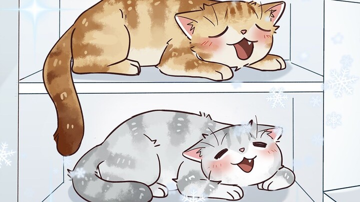 Ai cũng biết trong tủ lạnh có ngăn đựng rau củ, ngăn đựng thực phẩm tươi sống, ngăn “kim dần tầng”, 