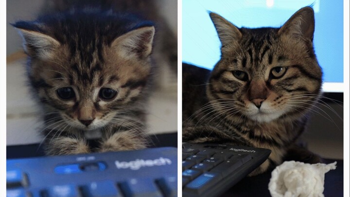 The once-adorable, goofy kid is gone.