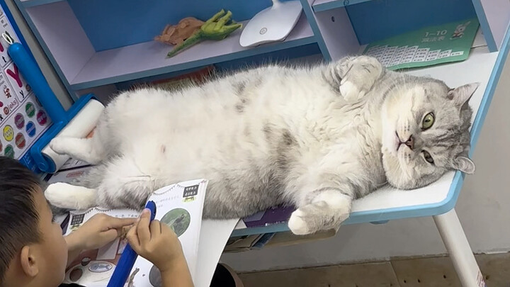 Meja sudah dikuasai sama Dazhuang!