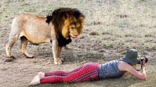 A collection of interesting videos from abroad, after watching it, you will feel that the whole worl