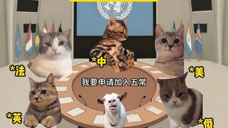 ถ้าอินเดียเข้าร่วมคณะมนตรีความมั่นคงฯ