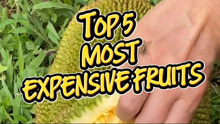 The most expensive fruits in the world will make your grocery bill look like pocket change 🍇🍈