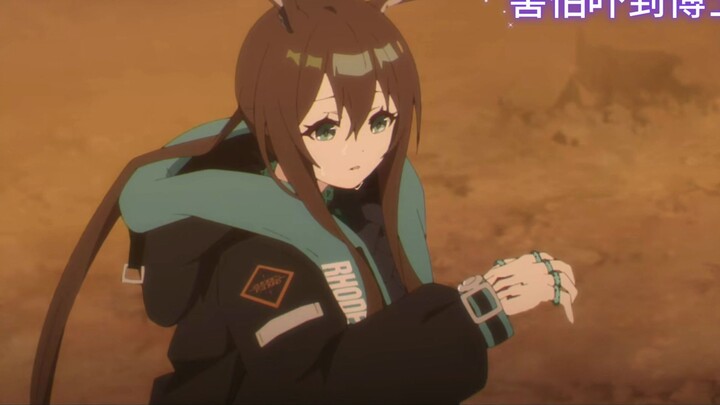 The bunny who always accompanies his old father❤️❤️