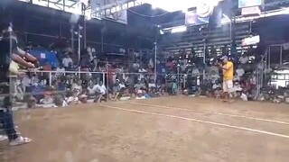 MRM boots n Action