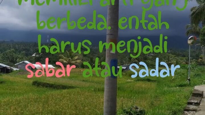 SEBUAH CERITA DI MASA 40AN