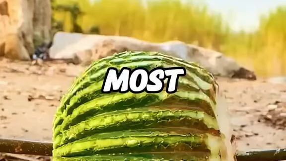 if u find it then u watch it if u want it