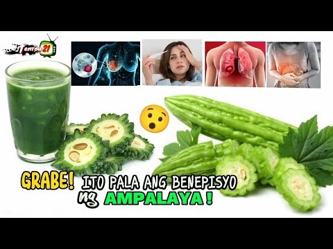 MGA BENEPISYO NG AMPALAYA | BENEFITS OF BITTER MELON (BITTER GOURD) | Tenrou21