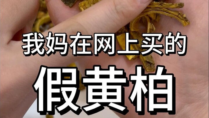 Authentication of Genuine and Fake Phellodendron Bark