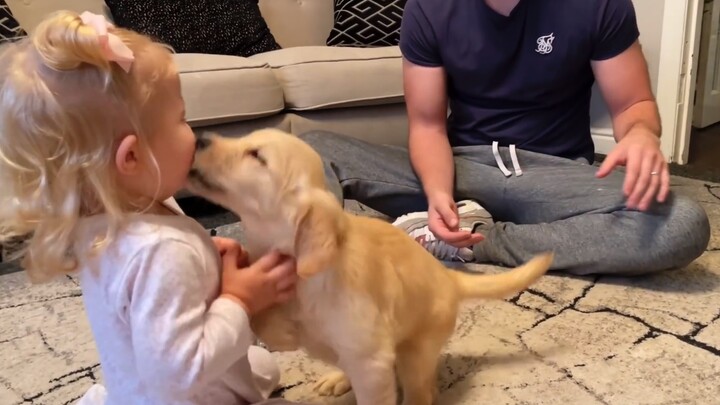 Animals|First Meet-up Between the Baby and the Dog