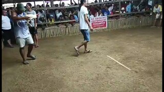 Criminal White  cutting accuracy