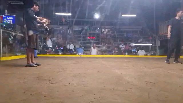 2hits second fight!!! Win!!!