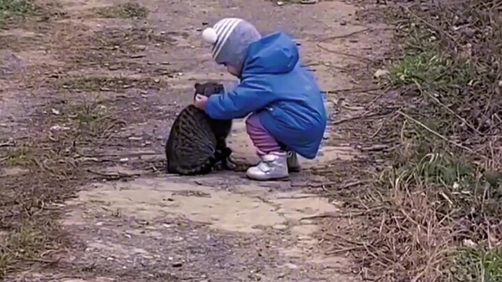 Anak kecil mencium kucing jalanan