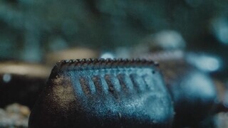 一群小蟑螂就这么水灵灵地从卵鞘钻出来了......