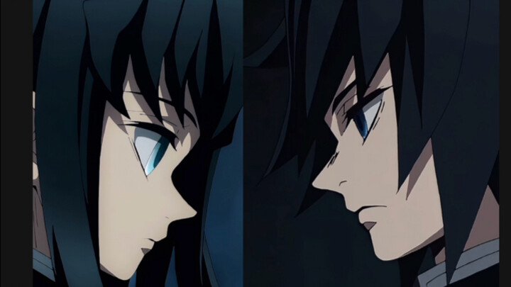 These two cute stoics are just that authoritative!