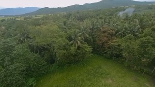 有种约定叫做永生 #不离莫忘我....有种承诺叫做永生 #不弃不忘你....