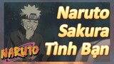 Naruto Sakura Tình Bạn