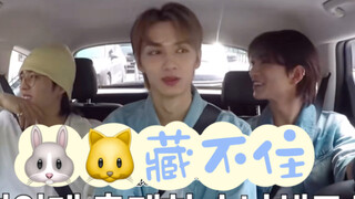 “哥哥好什么啊？哦，哥哥好帅啊～”《队花藏不住》