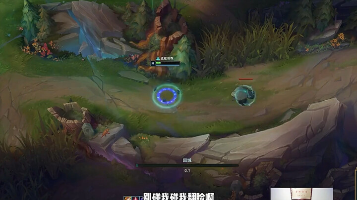 全英雄联盟唯一一个可以和石甲虫交流的主播