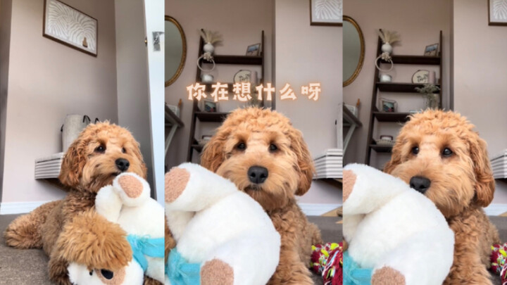 คุณกำลังคิดอะไรอยู่นะ?